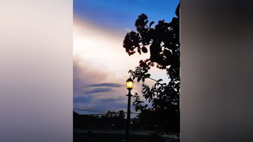 越正越強大 感恩所有的相遇 愛與光明 正能量 高溫天氣注意防暑 變聲