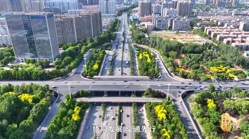 共織交通網 繪出共贏圈