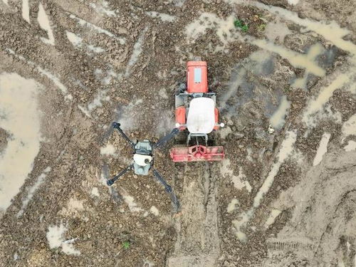 新時(shí)代中國調(diào)研行之看區(qū)域 中部篇 融媒一線 看,如此 接地氣 的科幻 農(nóng) 景